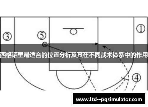 西格诺里最适合的位置分析及其在不同战术体系中的作用
